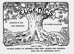 Eugenics Tree